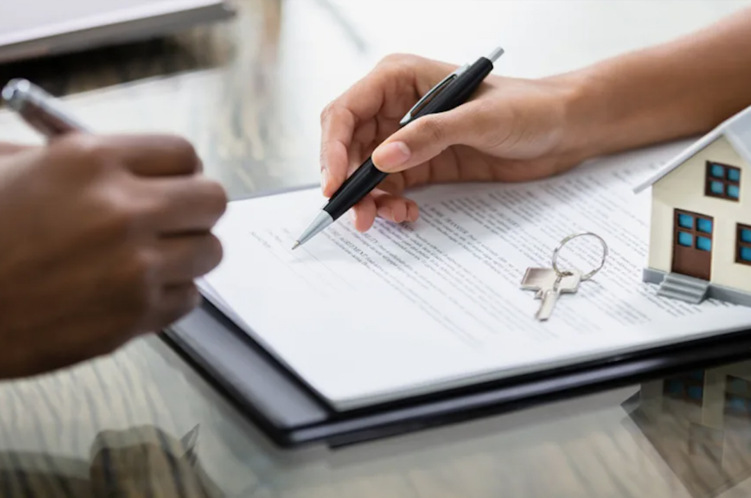 1762418212330301.jpg 78964.jpg